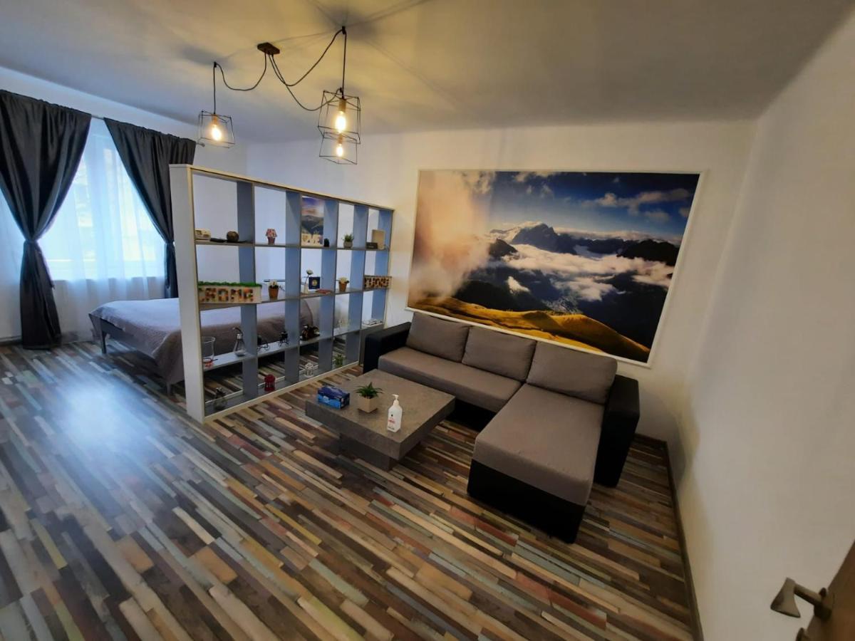 Croma Studio Petrosani Appartement Buitenkant foto