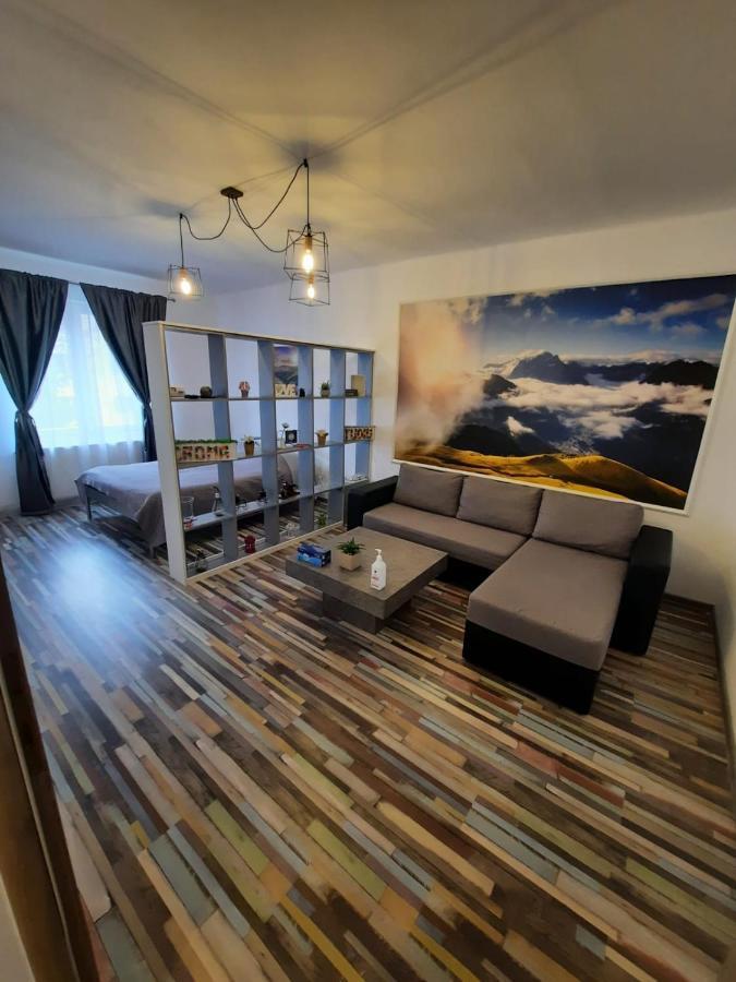 Croma Studio Petrosani Appartement Buitenkant foto