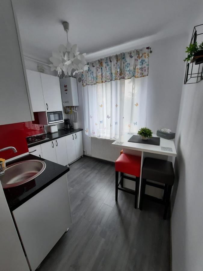 Croma Studio Petrosani Appartement Buitenkant foto